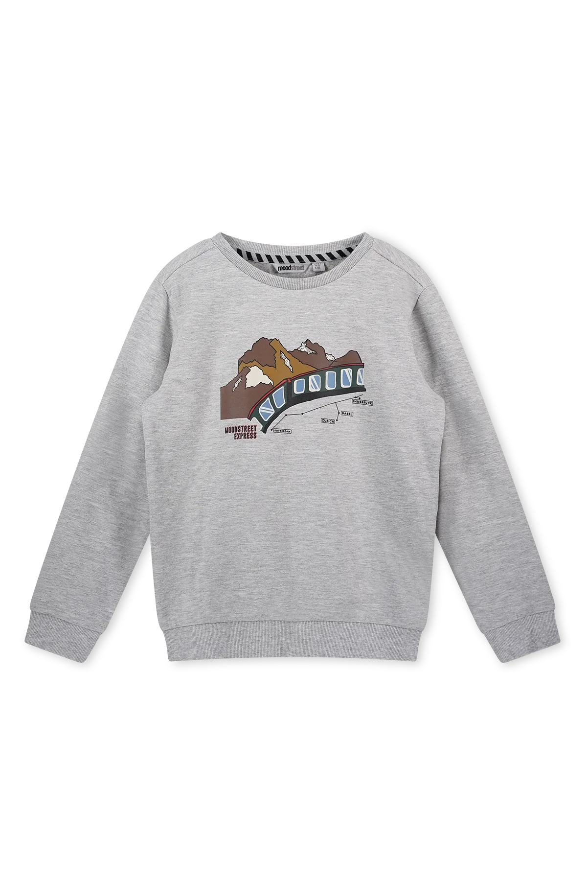 Trui Met Trein Print