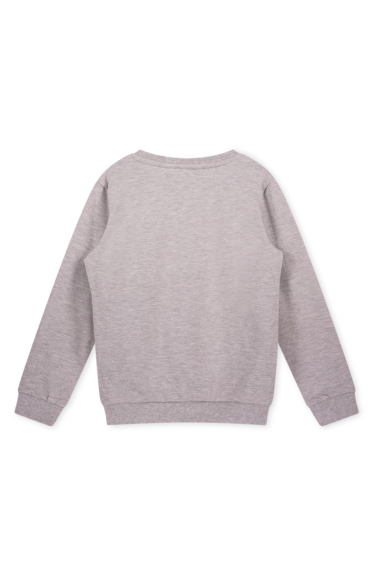 Trui Met Trein Print