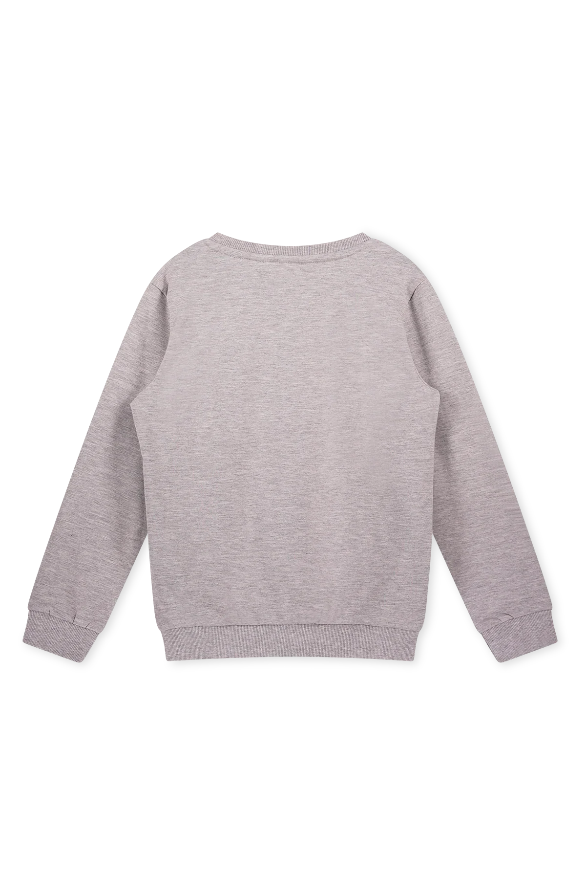 Trui Met Trein Print