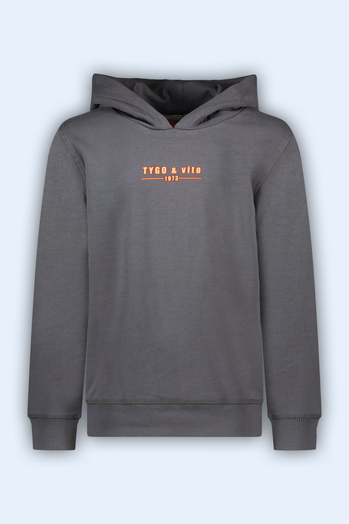 Hoodie Hugo Grijs - TYGO&vito
