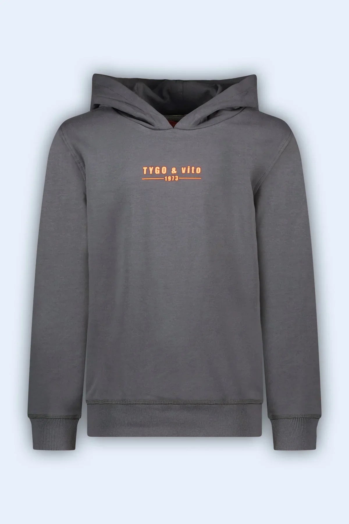 Hoodie Hugo Grijs - TYGO&vito