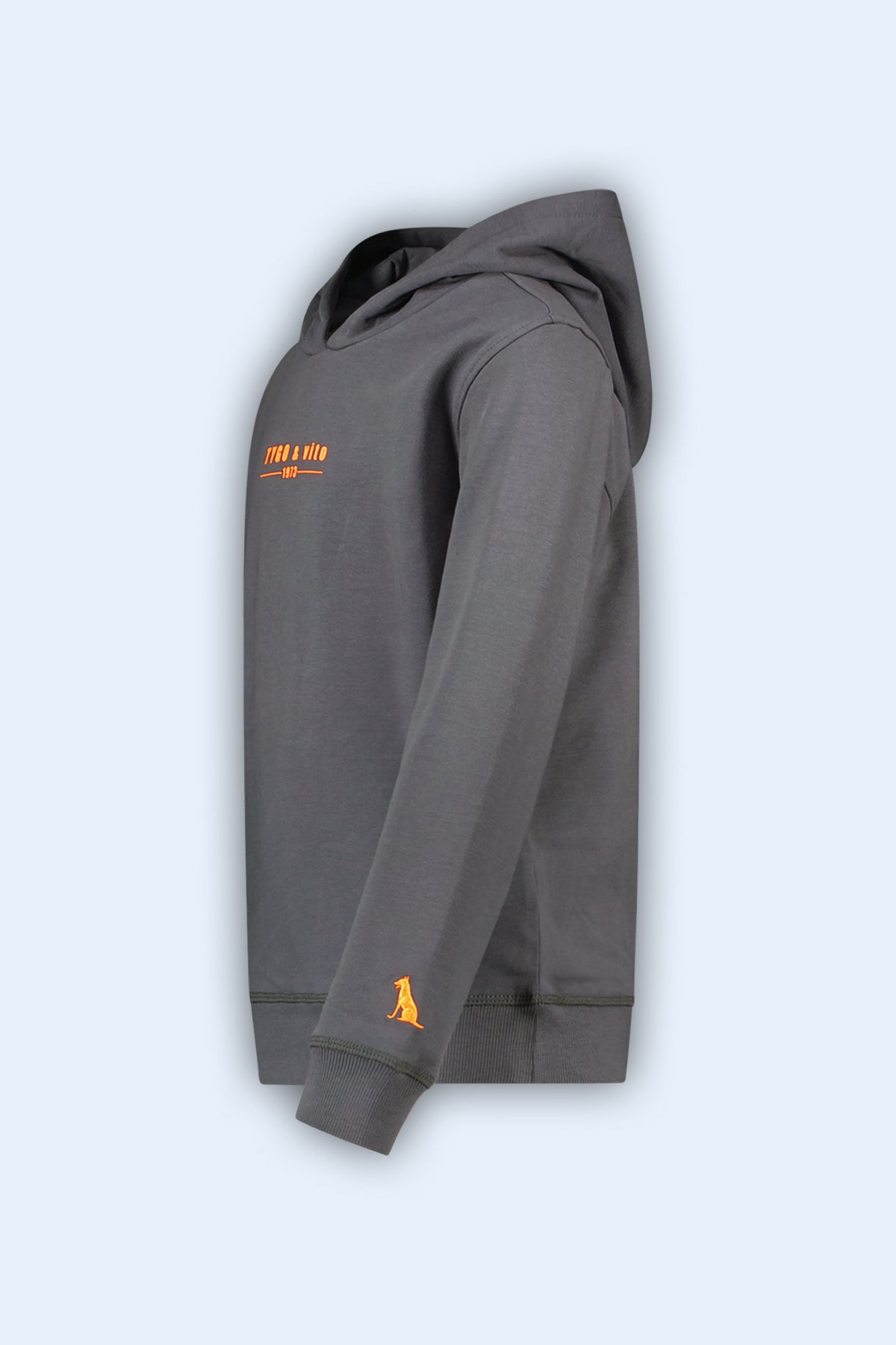 Hoodie Hugo Grijs - TYGO&vito