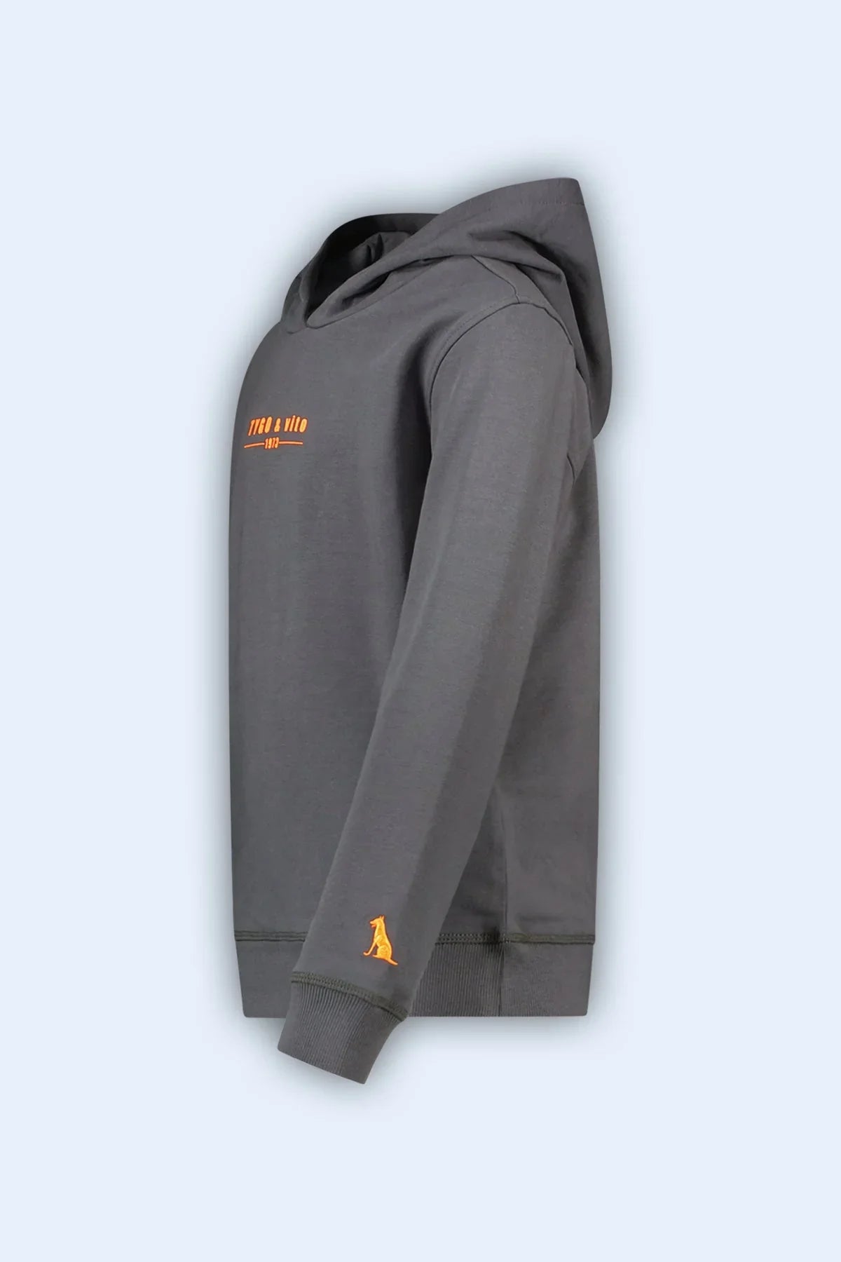 Hoodie Hugo Grijs - TYGO&vito