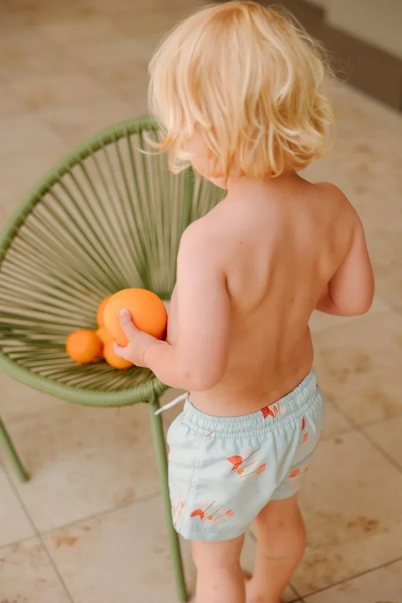 Louen swimshort - The New Chapter Store