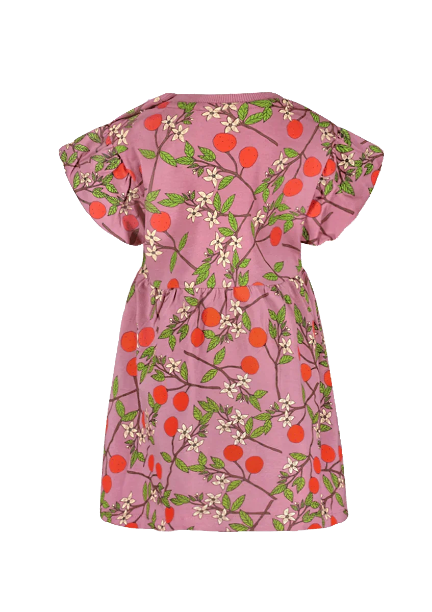 Maan The New Chapter dress pink - The New Chapter Store