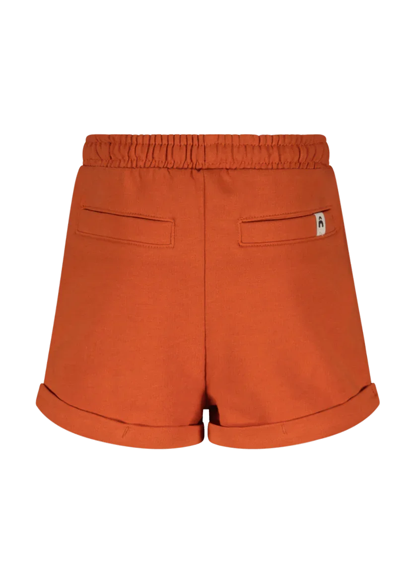 Maxime The New Chapter shorts brown - The New Chapter Store