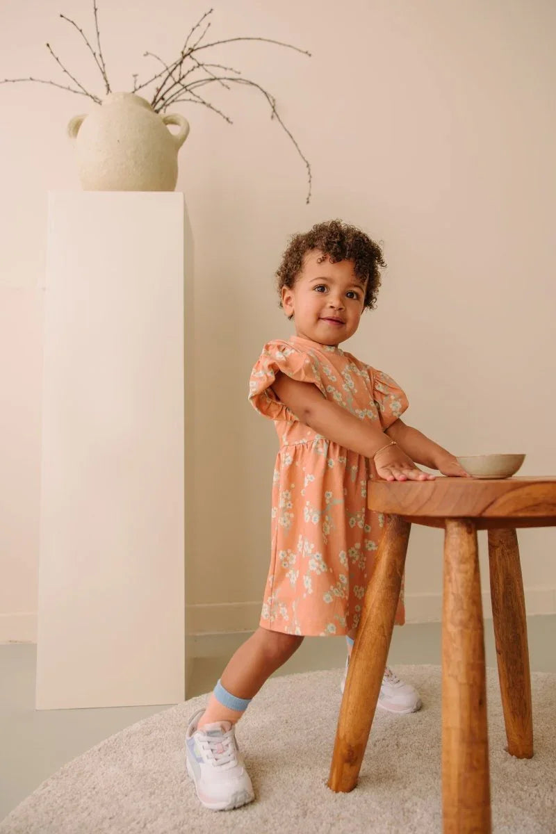 Niene dress peach - The New Chapter Store