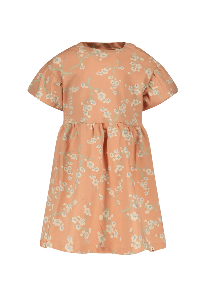 Niene dress peach - The New Chapter Store