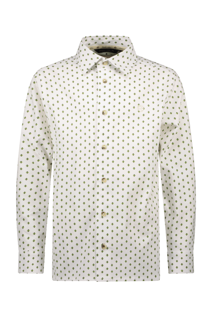 Oscar overhemd wit/groen -Blouses - Red+Blu