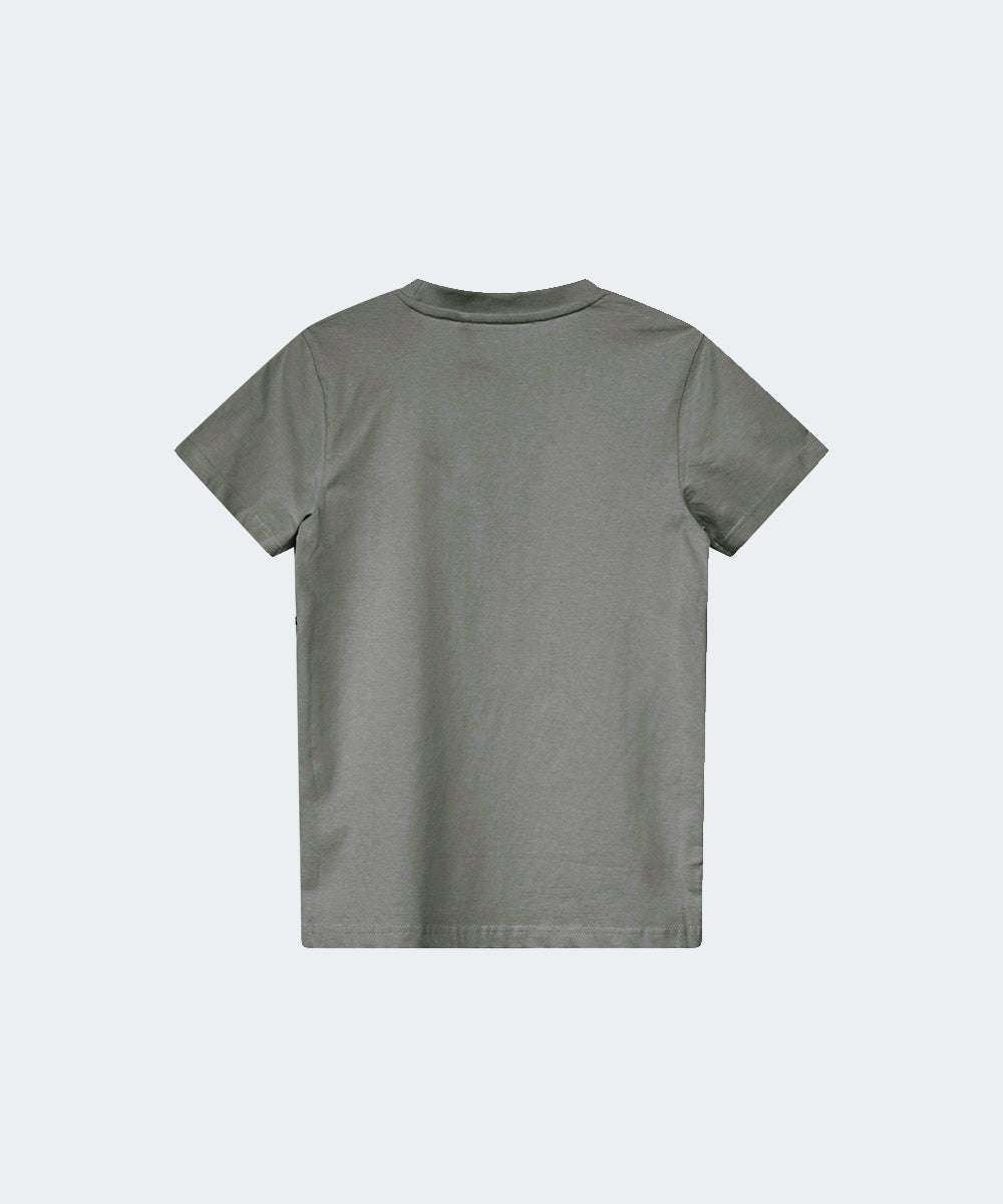 Shaw T-shirt Sage