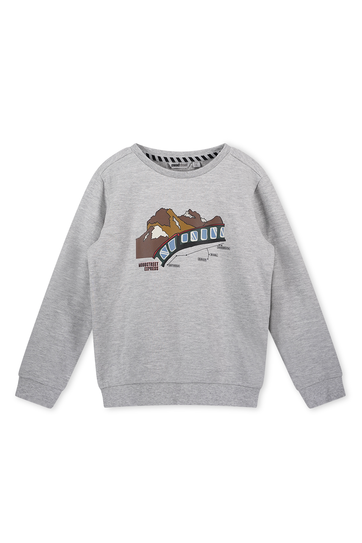 Trui Met Trein Print